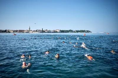 Porečki Delfin