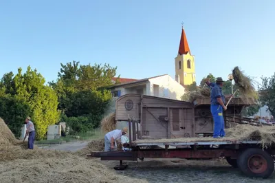 U bojama tradicije - Žetvena svečanost