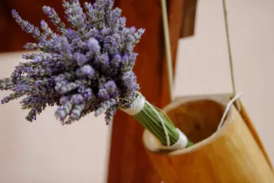 U bojama tradicije - Žetvena svečanost