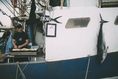 Hook & Cook Pop Up Banjole