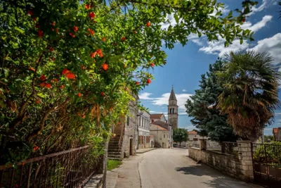 Central Istria Walk & Taste