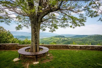 Central Istria Walk & Taste