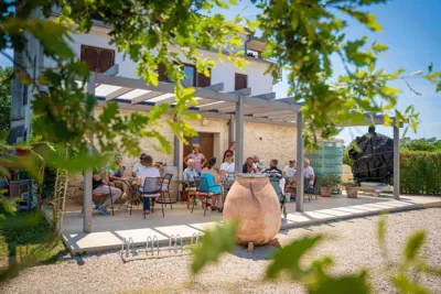 Novigrad Cittanova Wine Trail