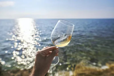 Wine & walk by the sea