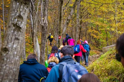 Festival šuma i šumskih plodova