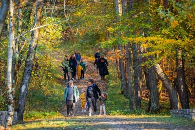 Festival šuma i šumskih plodova