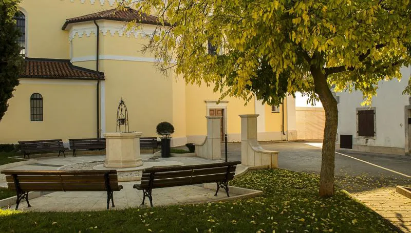 Fešta sv. Roka