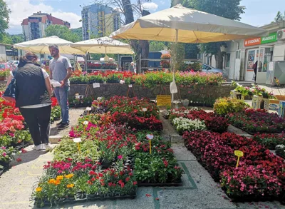 Pazinski sajam