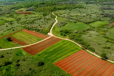 Škropećanska fešta