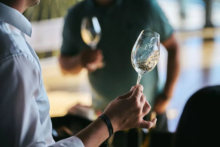 Decanter 2026 Winners Showcase