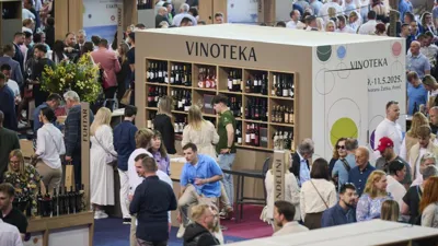 Vinistra