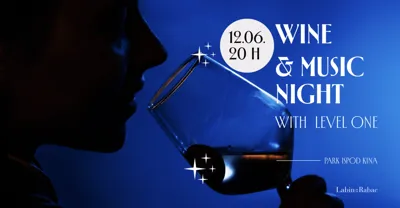 Wine & Music Night, Labin - Damir Keđo i Franka Batelić