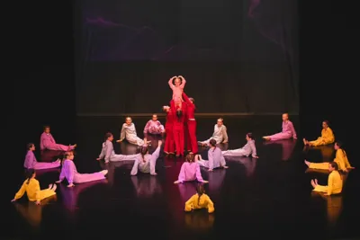 Dance Show Premantura