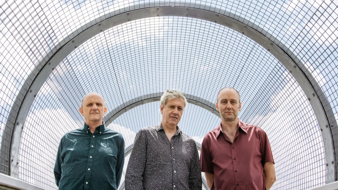 THE NECKS