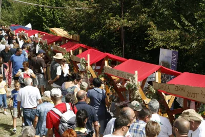18. Učkarski samanj