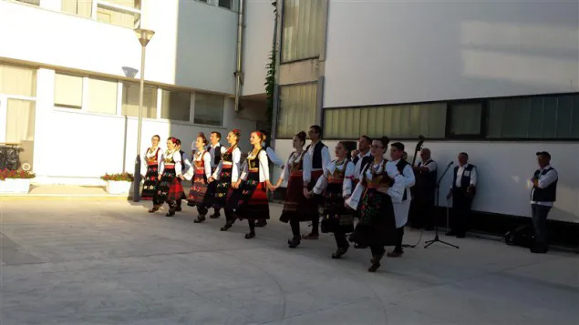 Fažani s ljubavlju