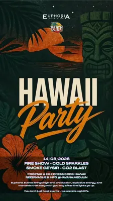 Hawaii Party