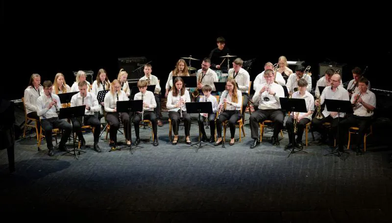 Koncert: Puhački orkestar Ladies & Gentlemen