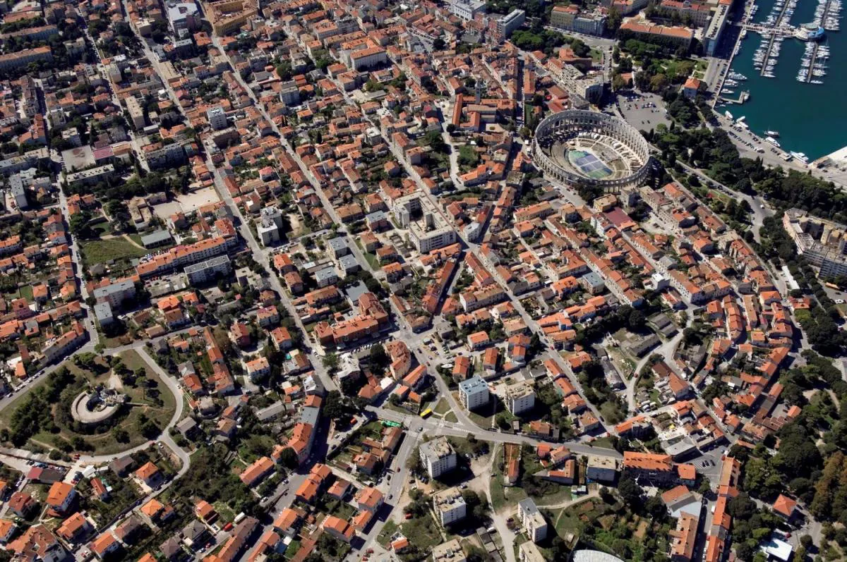 Dynamic Race Pula
