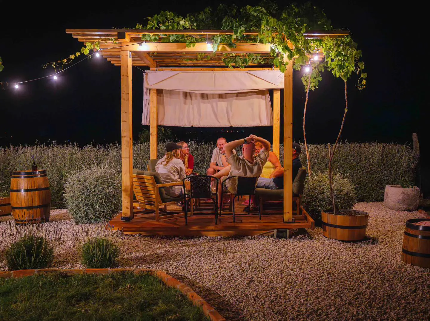 Cossetto: Wine Nights