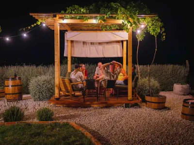 Cossetto: Wine Nights