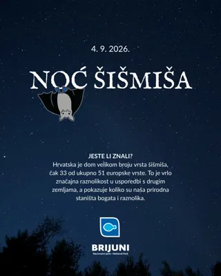 Noć šišmiša