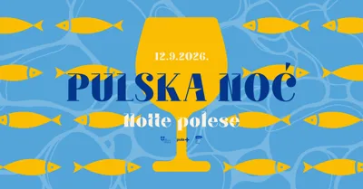 Pulska noć