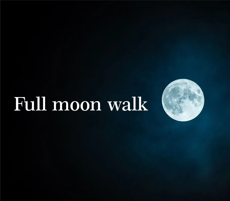 Full moon walk: Borut