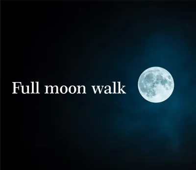 Full moon walk: Borut