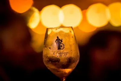 Rovinjski festival vina