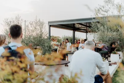 Taste & Tunes u OPG Franjul: Mateo Pilat