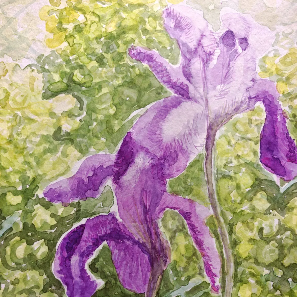 fLORA – izložba Marka Šošića