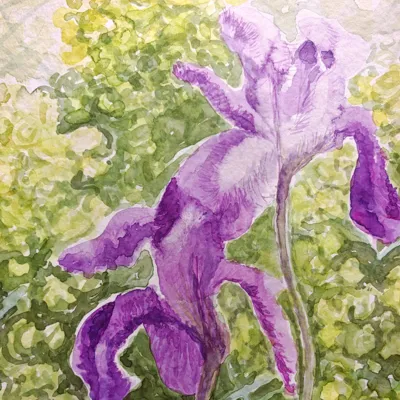 fLORA – izložba Marka Šošića