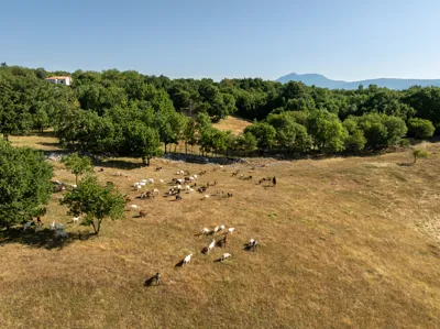 Istražite Boksitnu prugu – „Parenzanu“ istočne Istre