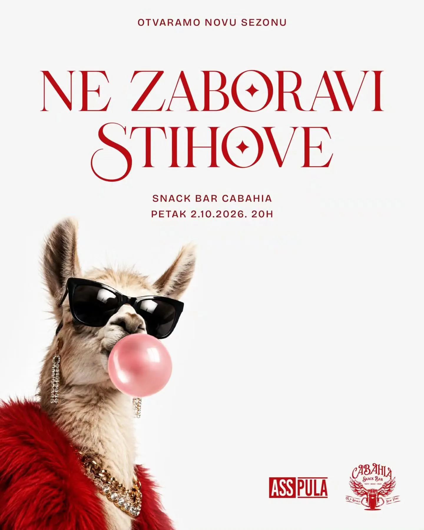 Ne zaboravi stihove