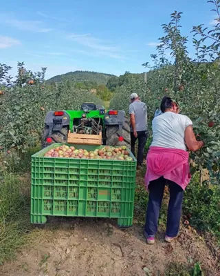 Dan otvorenih vrata OPG Dušić